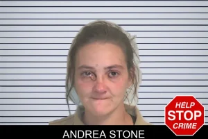 Andrea Stone mugshot