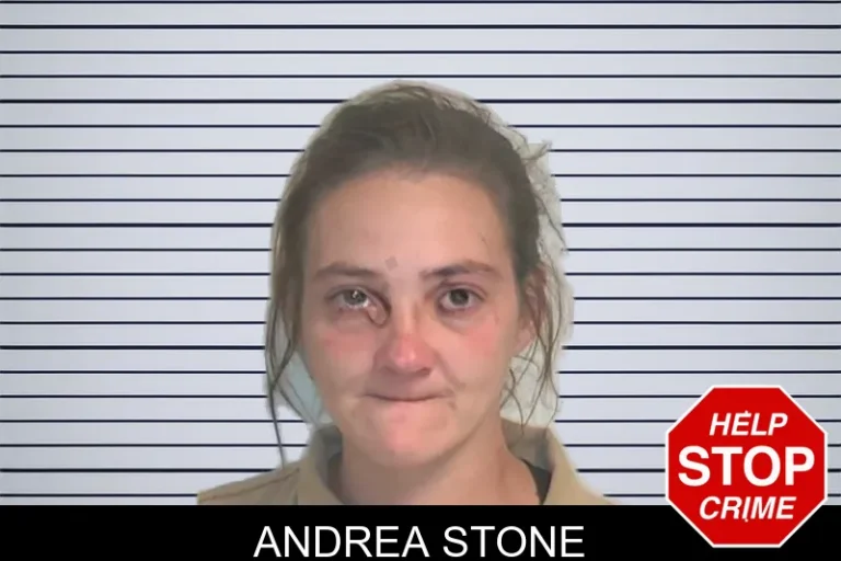 Andrea Stone mugshot – Berrien County , Georgia Andrea Stone