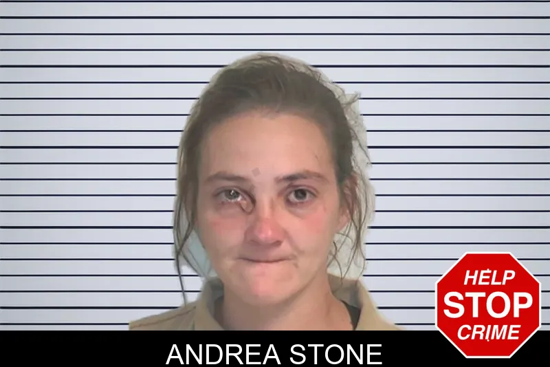 Andrea Stone mugshot