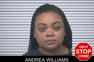 Andrea Williams mugshot