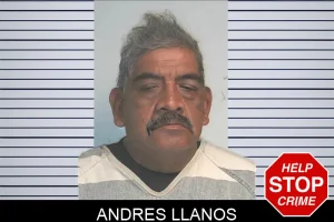 Andres Llanos mugshot