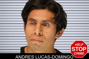 Andres Lucas-Domingo mugshot