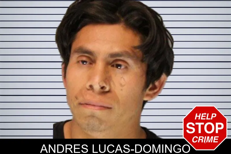 Andres Lucas-Domingo mugshot