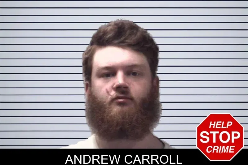 Andrew Carroll mugshot