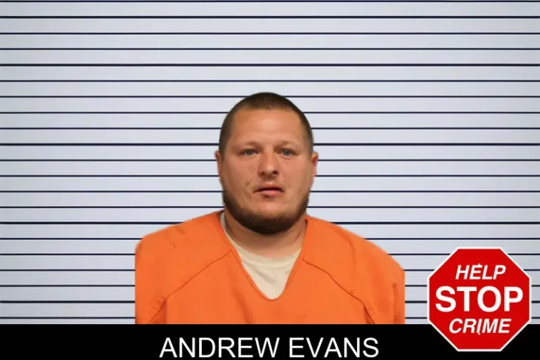 Andrew Evans