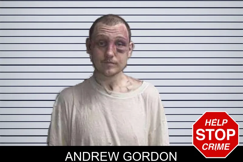Andrew Gordon mugshot