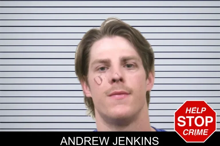 Andrew Jenkins