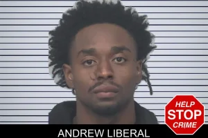 Andrew Liberal mugshot
