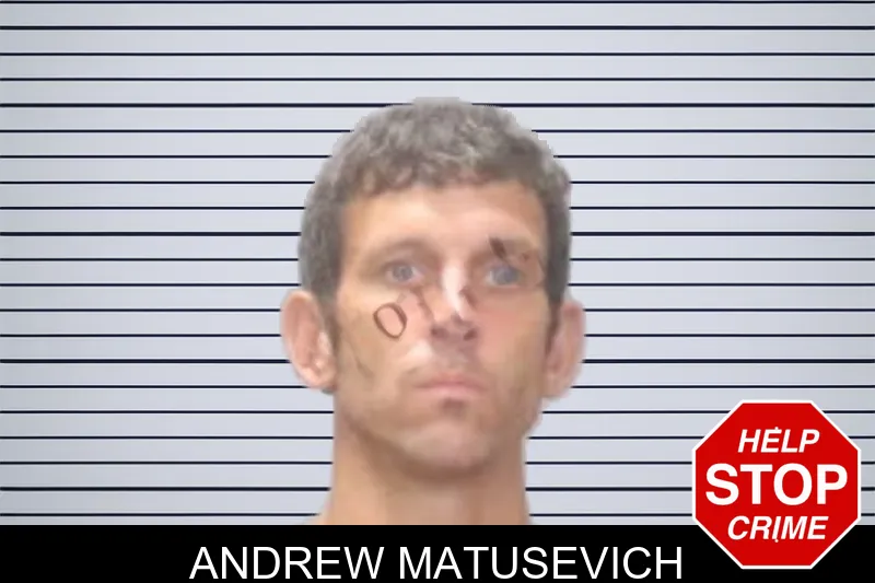 Andrew Matusevich mugshot