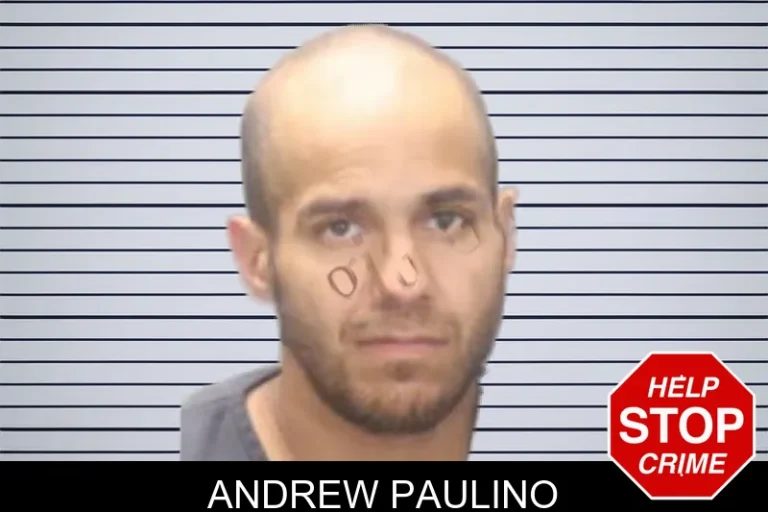 Andrew Paulino