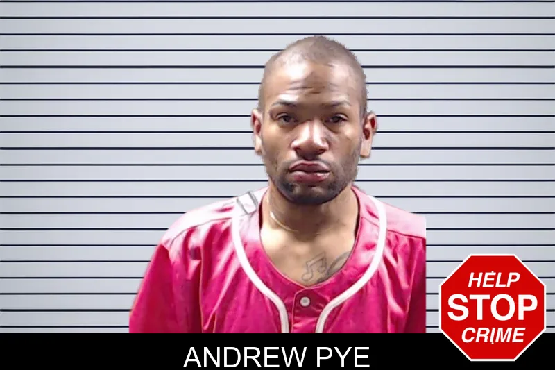 Andrew Pye mugshot