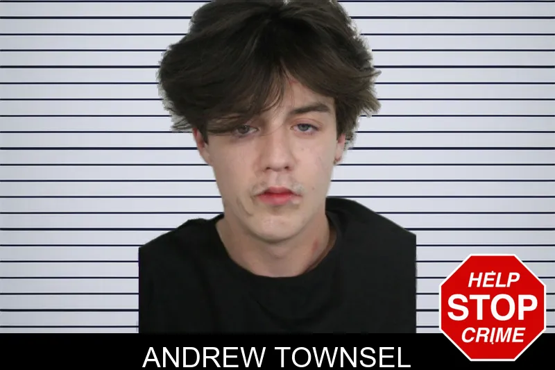 Andrew Townsel mugshot