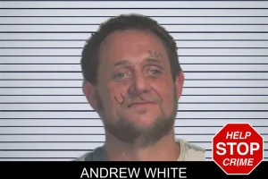 Andrew White mugshot
