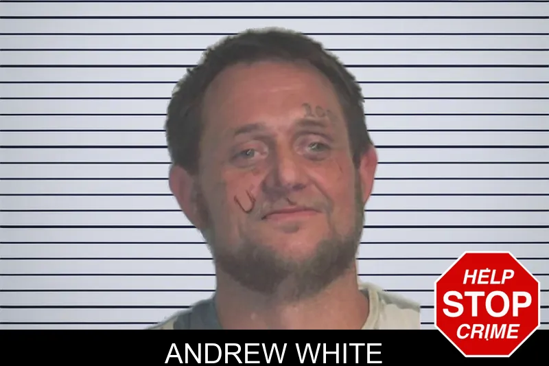 Andrew White mugshot