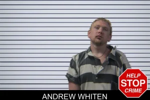 Andrew Whiten mugshot