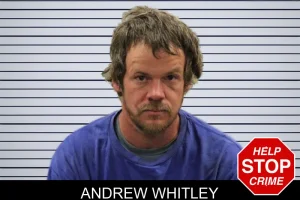 Andrew Whitley mugshot