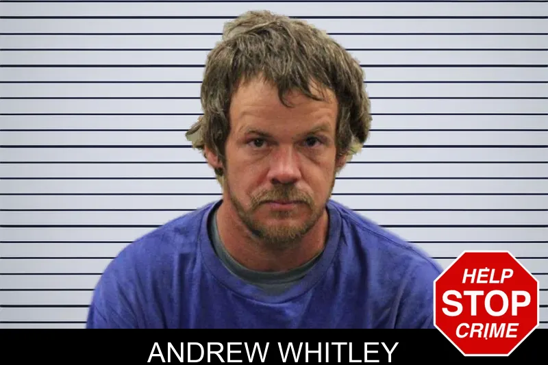Andrew Whitley mugshot