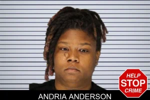 Andria Anderson mugshot