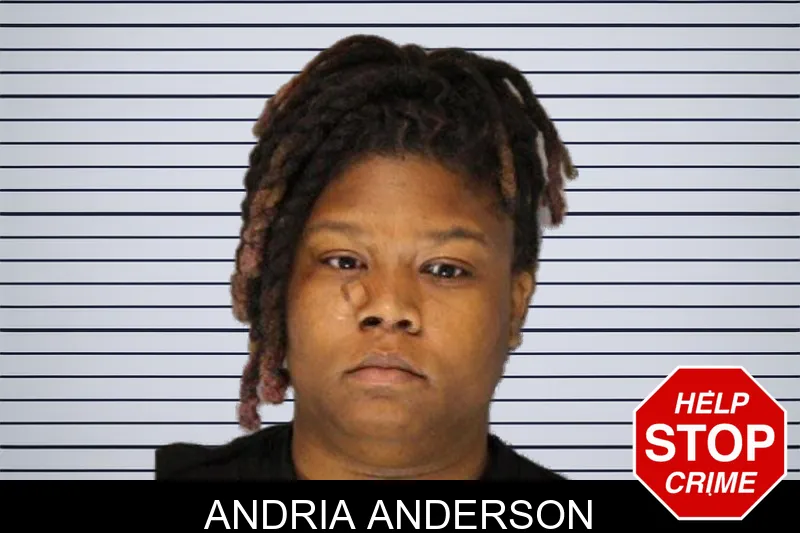 Andria Anderson mugshot