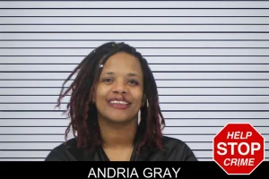 Andria Gray mugshot