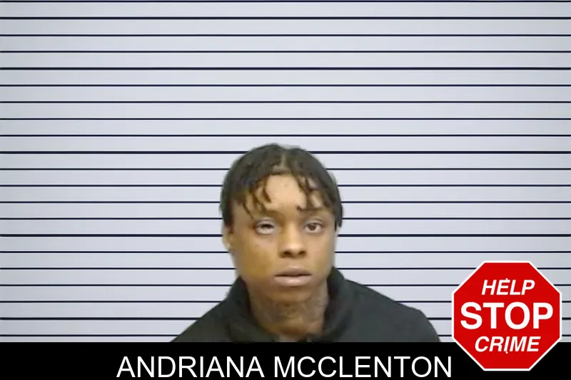 Andriana McClenton mugshot