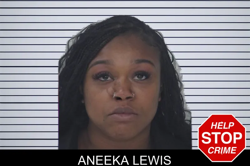 Aneeka Lewis mugshot