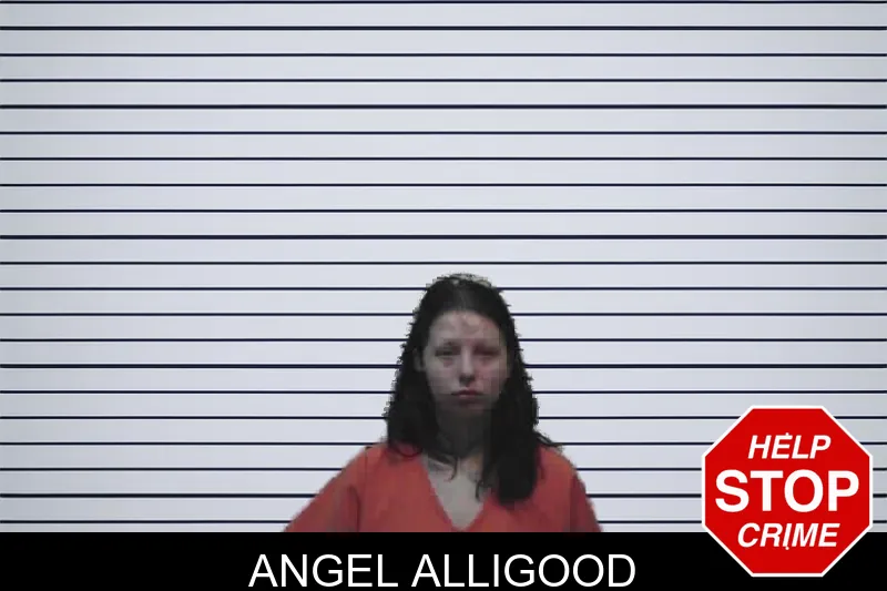 Angel Alligood mugshot