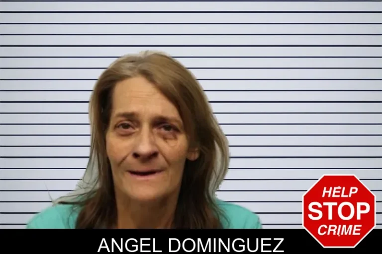 Angel Dominguez mugshot – Chatham County , Georgia Angel Dominguez
