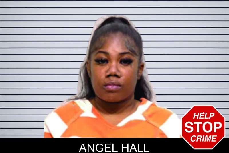 Angel Hall mugshot