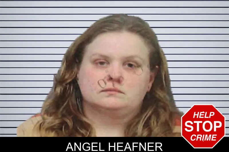 Angel Heafner mugshot