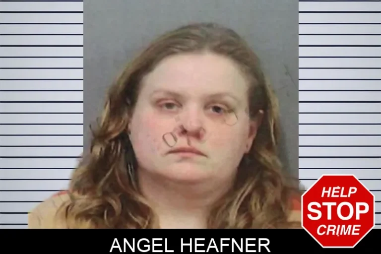 Angel Heafner mugshot – White County , Georgia Angel Heafner