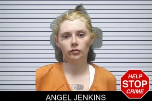 Angel Jenkins mugshot