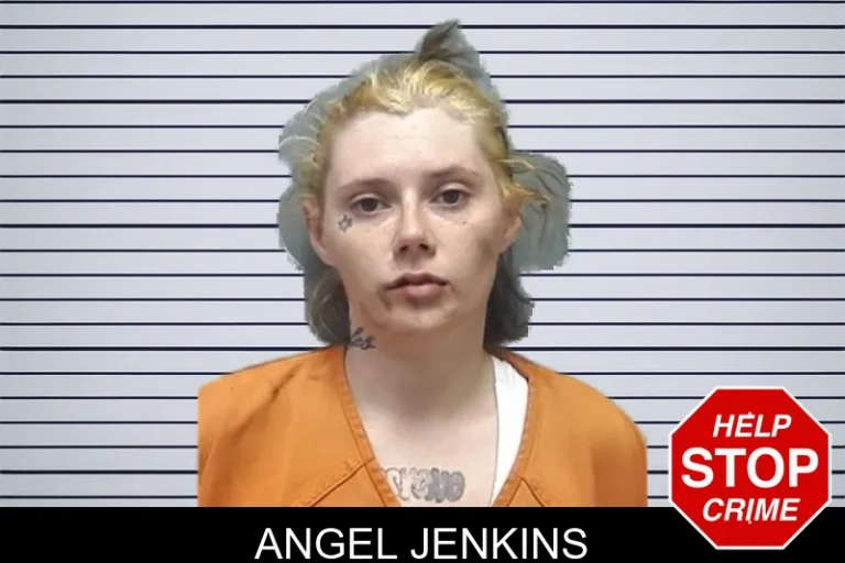 Angel Jenkins mugshot – Cherokee County , Georgia Angel Jenkins
