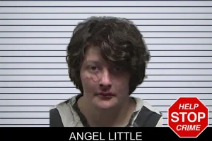 Angel Little mugshot