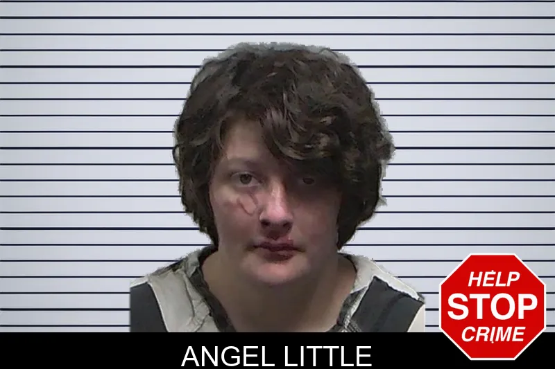 Angel Little mugshot