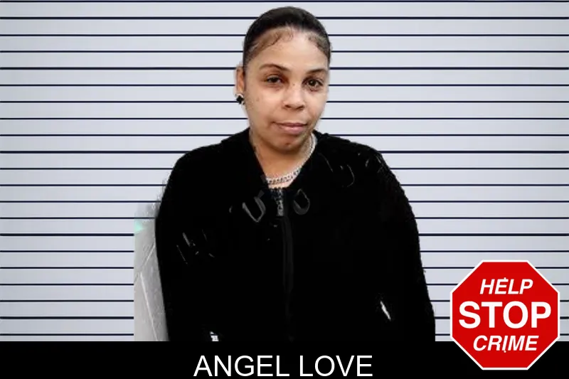 Angel Love mugshot – Decatur County , Georgia Angel Love mugshot