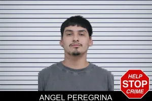 Angel Peregrina mugshot