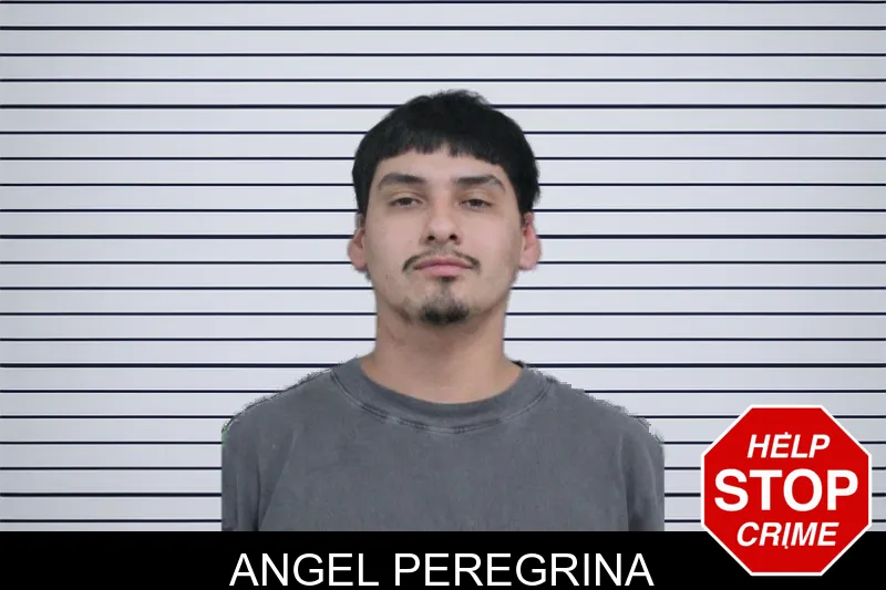 Angel Peregrina mugshot