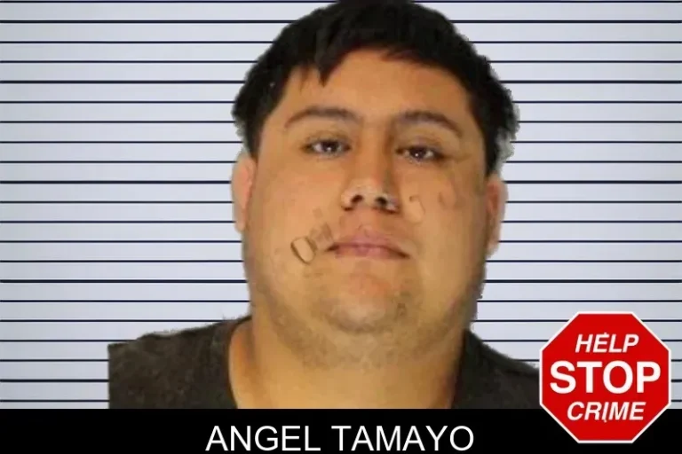 Angel Tamayo mugshot – Hall County , Georgia Angel Tamayo