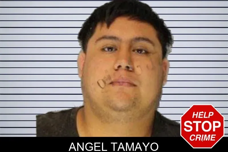 Angel Tamayo mugshot