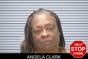 Angela Clark mugshot