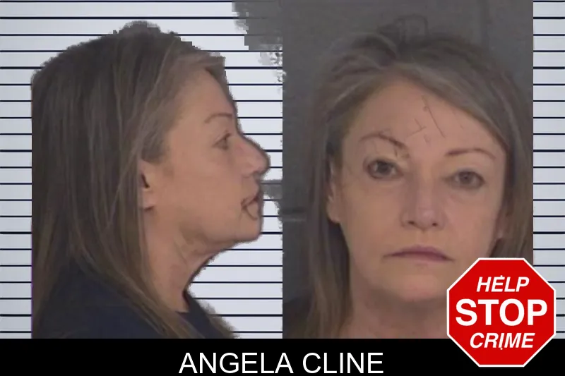 Angela Cline mugshot