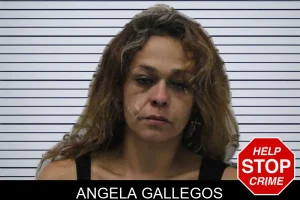 Angela Gallegos mugshot
