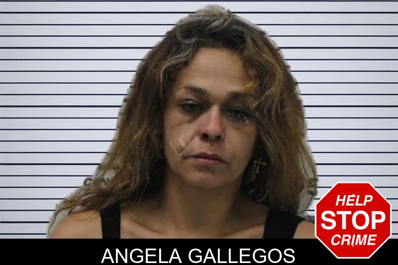 Angela Gallegos mugshot – Colquitt County , Georgia Angela Gallegos mugshot