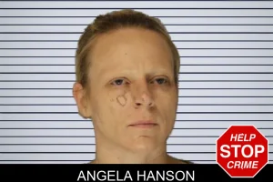 Angela Hanson mugshot