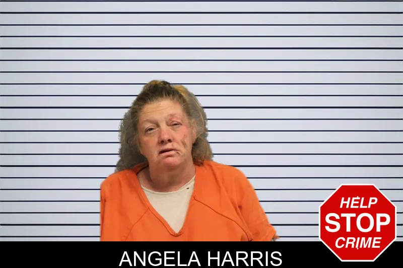 Angela Harris mugshot