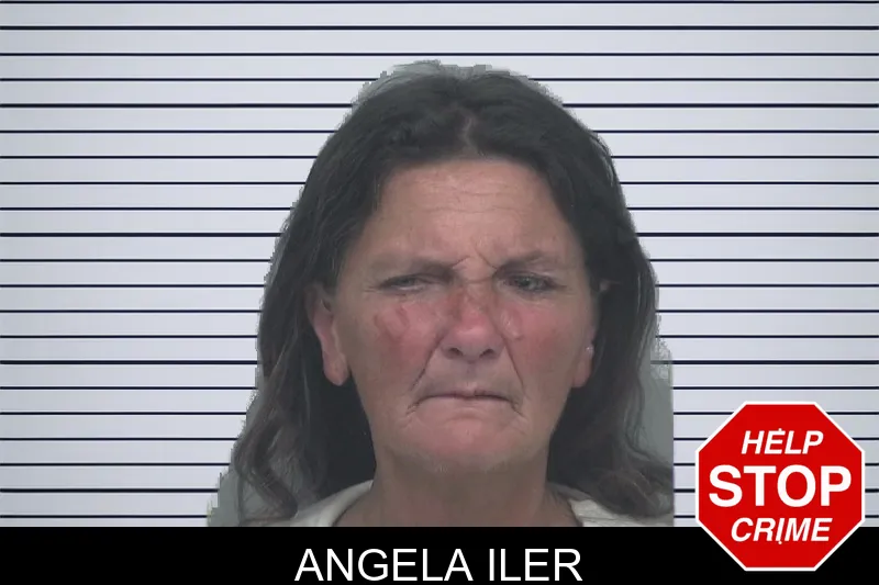 Angela Iler mugshot