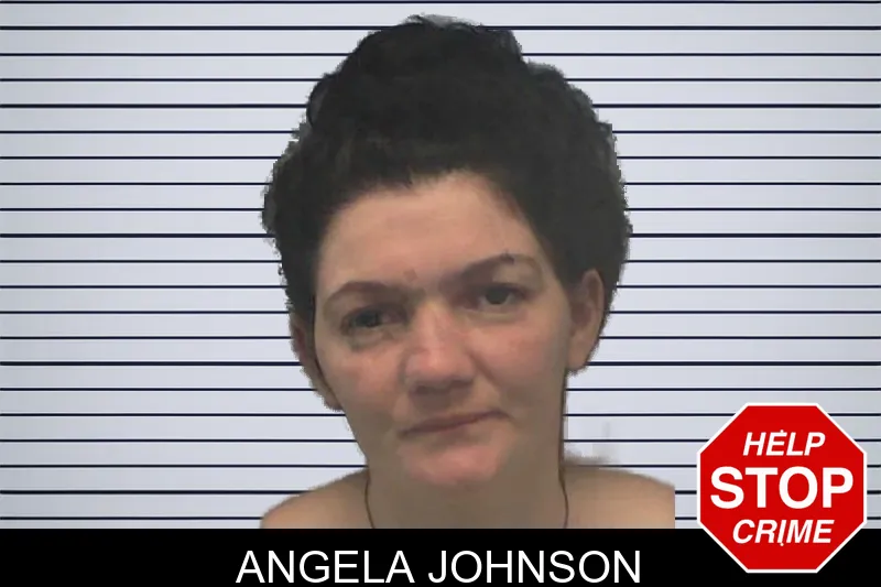 Angela Johnson mugshot – Ware County , Georgia Angela Johnson mugshot