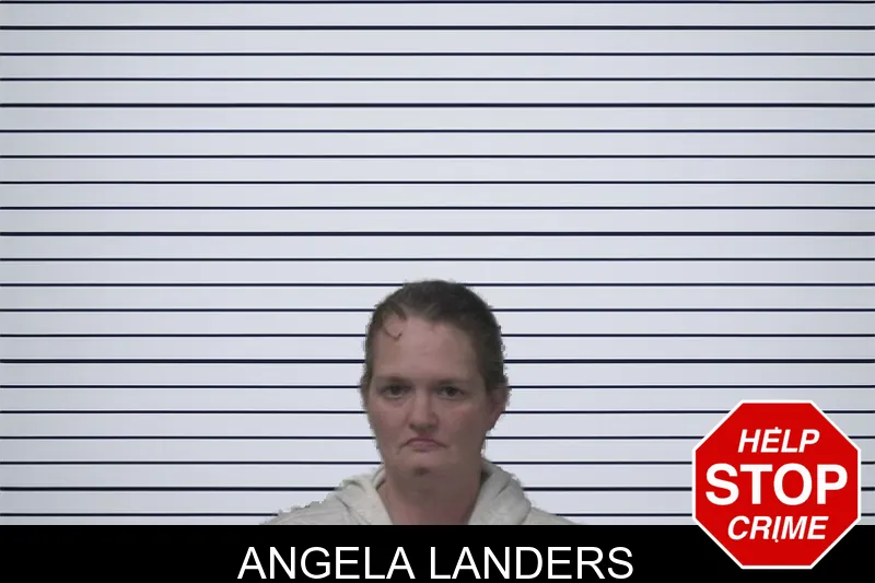 Angela Landers mugshot