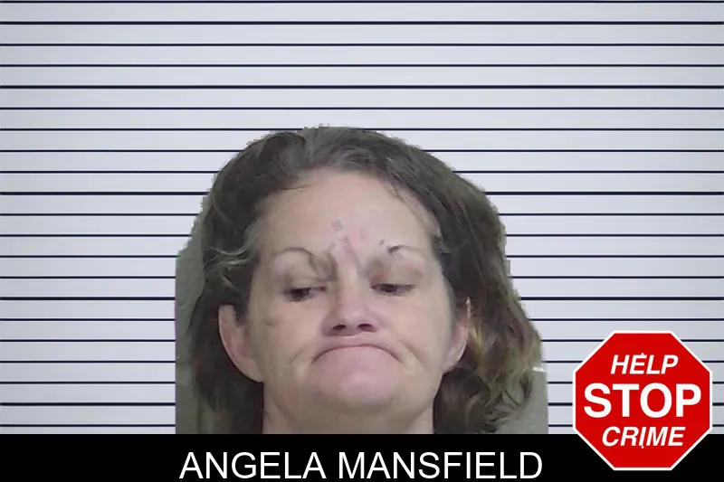 Angela Mansfield mugshot